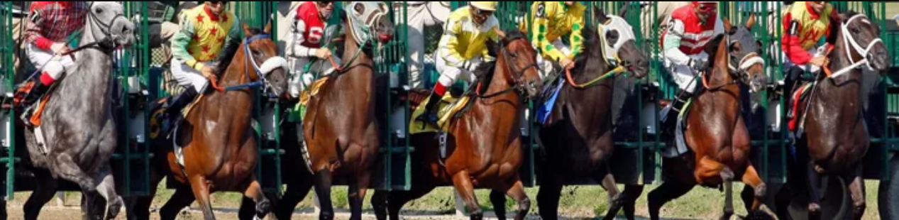 TURF : Le Paradis du Parieur Hippique